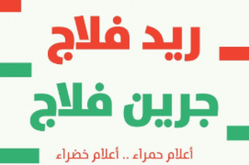 ملخص كتاب ريد فلاج جرين فلاج - علي فينيك