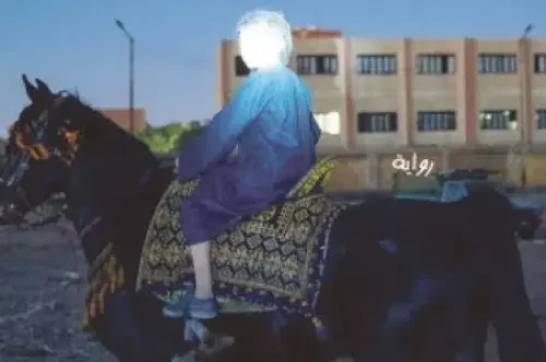 تحميل رواية قضية أحمد وش العيل - محمد عبد الجواد