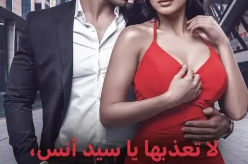 رواية لا تعذبها يا سيد أنس | رواية أنس ولينا