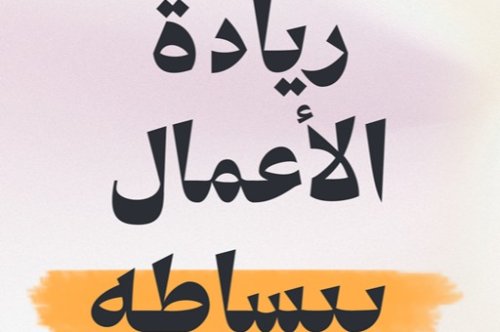 تحميل كتاب دليل ريادة الأعمال - د. شامل حسين